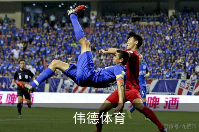 伟德体育公司简介